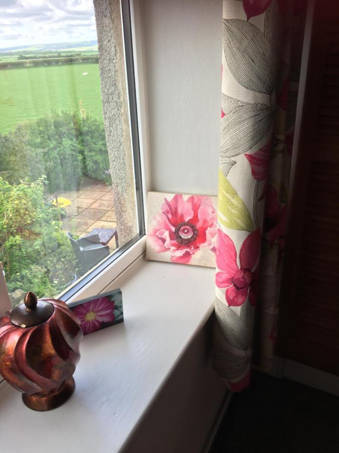 ヨーク Oscar Park Farm Bed & Breakfast エクステリア 写真
