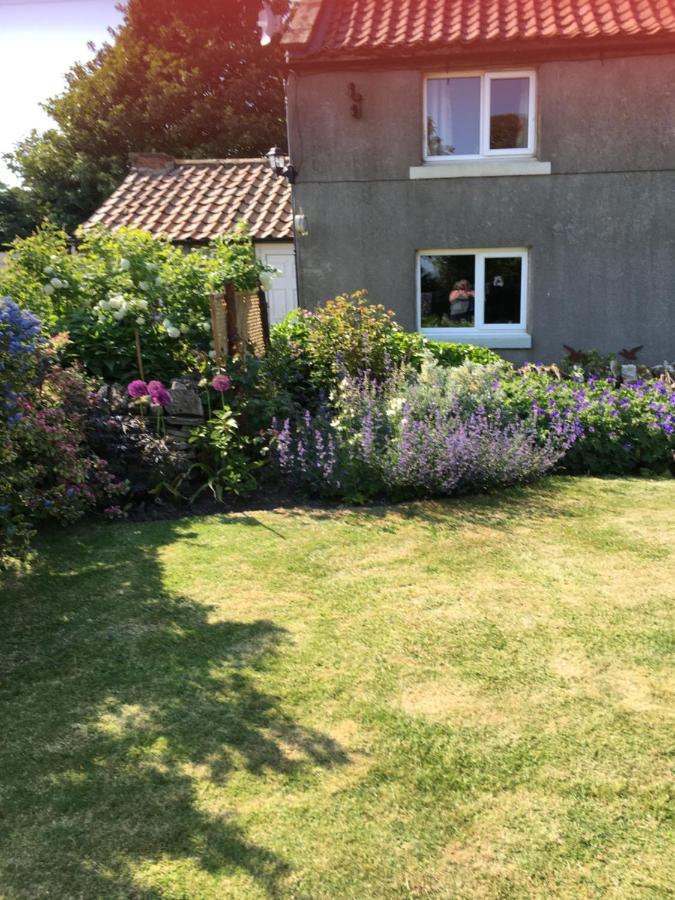 ヨーク Oscar Park Farm Bed & Breakfast エクステリア 写真
