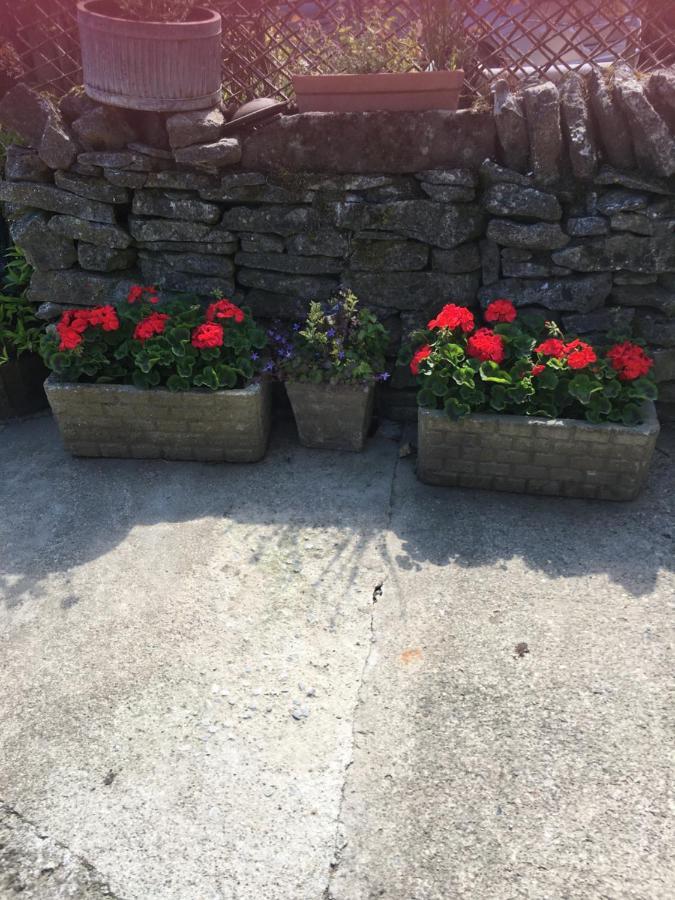 ヨーク Oscar Park Farm Bed & Breakfast エクステリア 写真